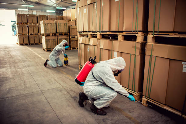 Reliable Oracle, AZ Pest Control Solutions